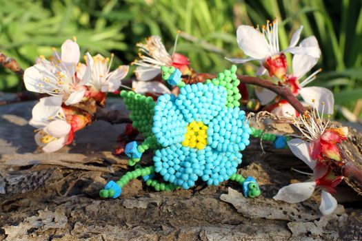 Handmade blue glass flower ring with apricot blossom in spring on the nature background