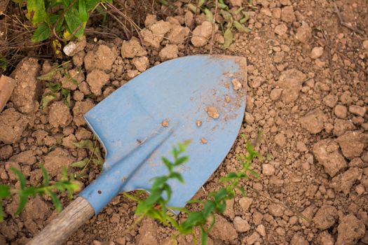 View of a blue shovel put on the ground.