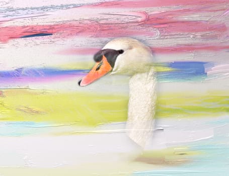 Digital oil painting with closeup of a swan head, montage.