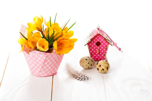 crocus flowers on white wooden background, spring decoration with quail eggs and birdhouse