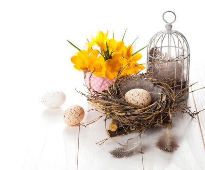 Easter eggs nest with birdcage and yellow Spring Crocus. on white wooden background