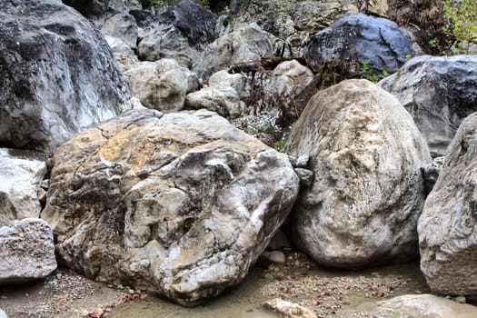 Dry Creek flows between large stones. Visible yellow forest. 