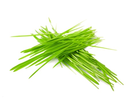 grass is folded against a white background
