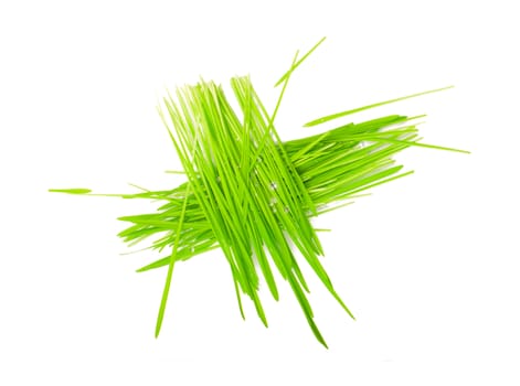 grass is folded against a white background