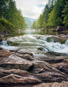 Fast river in a mountain forest on a sunny day