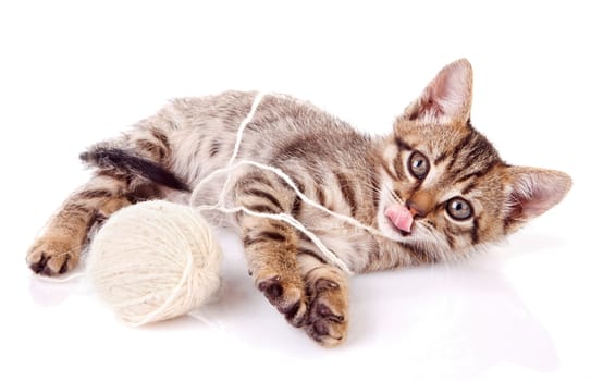 funny kitten playing with white ball