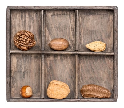 a variety of nuts (walnut, pecan, hazelnut, Brazilian and almond)  in a rustic wooden shadow box, isolated on white