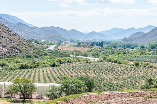 KREDOUW PASS, SOUTH AFRICA - JANUARY 2, 2015: View from the pass into the fertile Prince Albert Valley.
