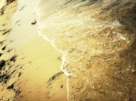 Sandy beach and sea wave. Sand and water background.