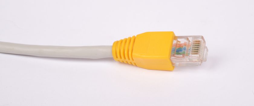 Yellow computer cable on isolated white background, close up view