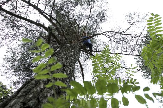 Lasse Tufte og bloggeren Maren Erdvik bak Fitliving viser treningsøvelser i skogen.