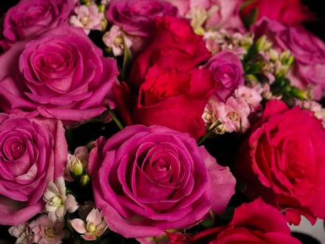 Bouquet of beautiful pink roses at closeup