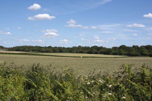 Country side taken from around Holmer Green, Buckinghamshire, England