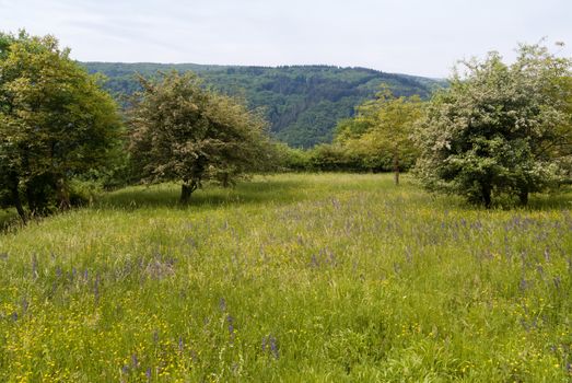 On The Reinsteig in Germany