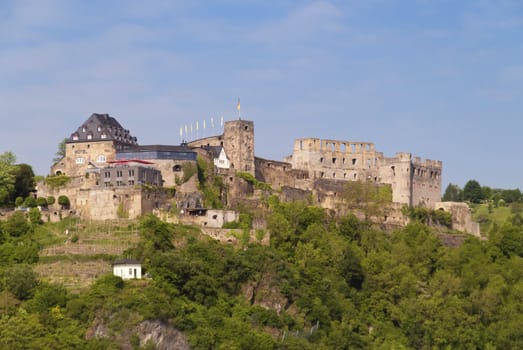 Castle Rheinfels at the Rhine