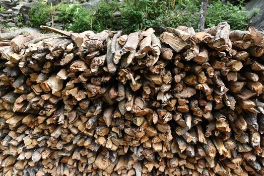 closed up the woodpile