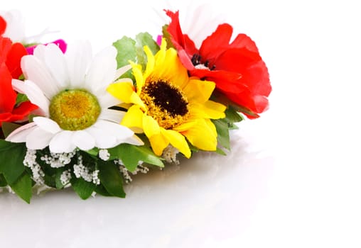 colorful flowers, daisy, sunflower, poppy on a white background