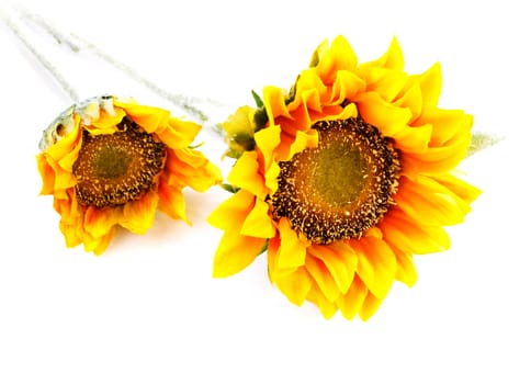 artificial sunflowers isolated  on  white