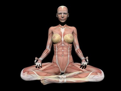 woman anatomy figure position - 3d render