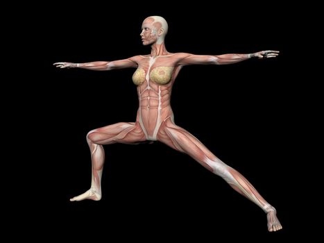 woman anatomy figure position - 3d render
