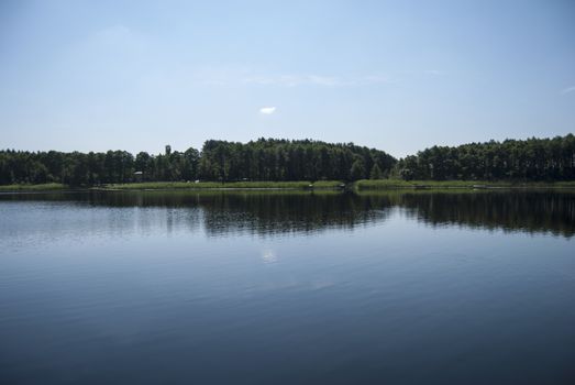 beautiful white lily on a summer lake