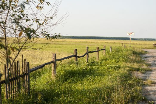 Old fence in field