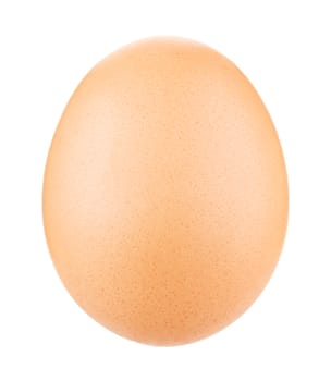 Egg Isolated on white
 