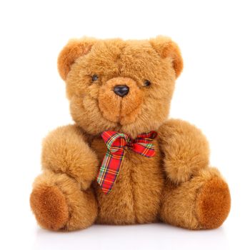 toy teddy bear isolated on white