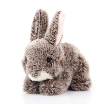 toy bunny isolated on white