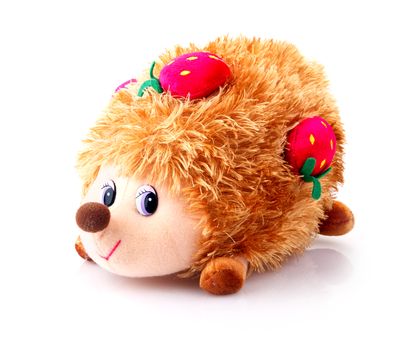 toy hedgehog isolated on white