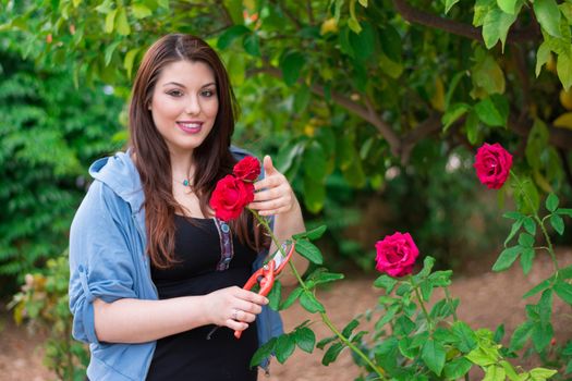 Beautiful caucasian girl cutting a red rose from the garden.