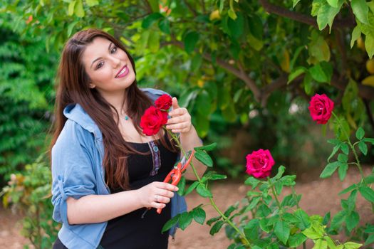 Beautiful caucasian girl cutting a red rose from the garden.