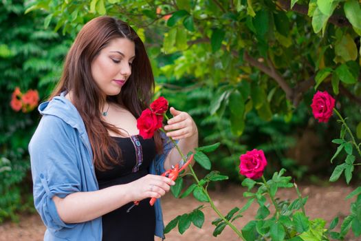 Beautiful caucasian girl cutting a red rose from the garden.