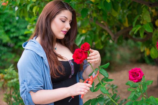 Beautiful caucasian girl cutting a red rose from the garden.