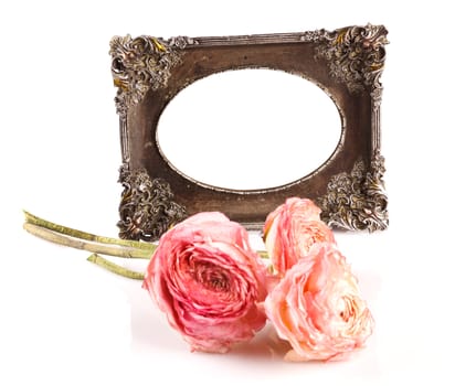 empty vintage frame with dry rose. Saved with clipping path.