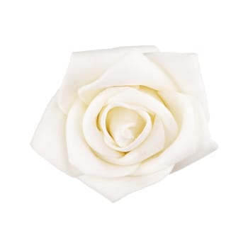 white rose isolated