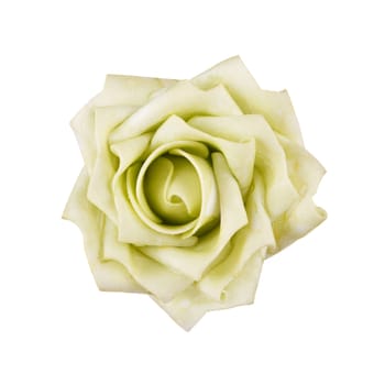 green rose isolated on white background