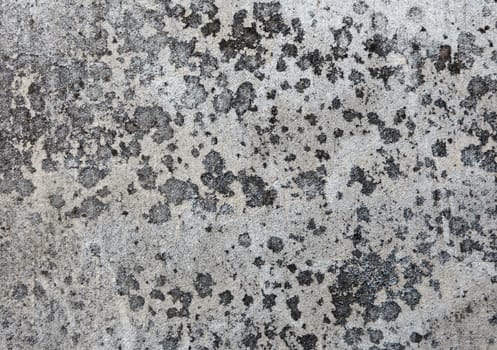 Gray concrete texture 