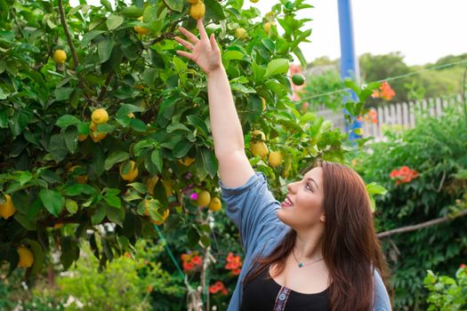Young beautiful caucasian girl trying to reach a juicy lemon on the tree.