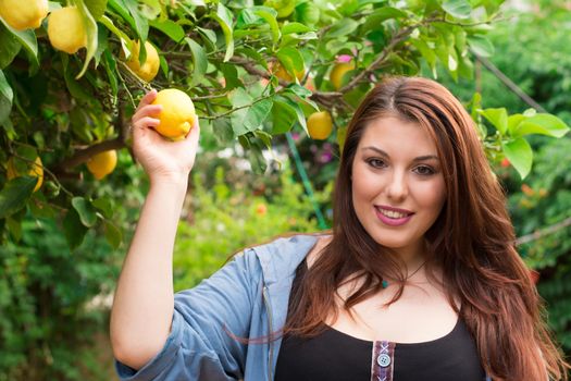 Beautiful young Caucasian girl cutting a lemon from the lemon tree in the garden.