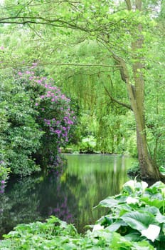 River in forest in portrait aspect