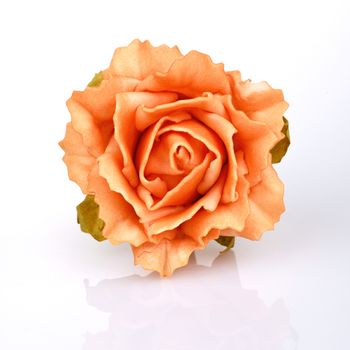 Orange rose flower on a white background