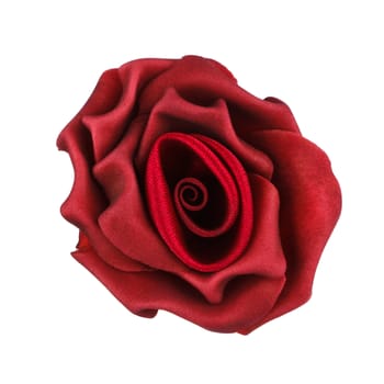 maroon rose isolated on white background