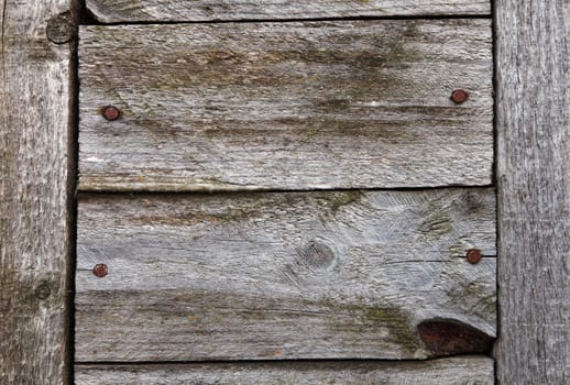 Detailed texture of wood