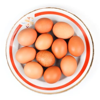 eggs in a bowl on a white background