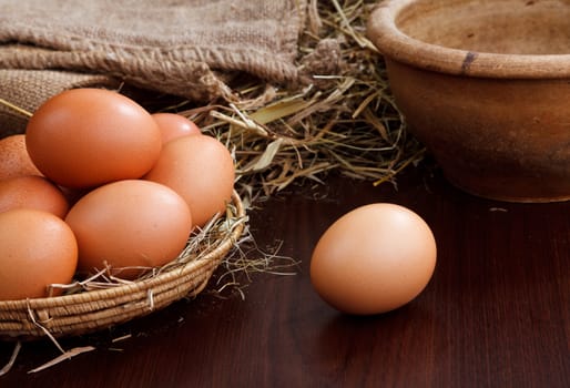 nature chicken eggs in nest