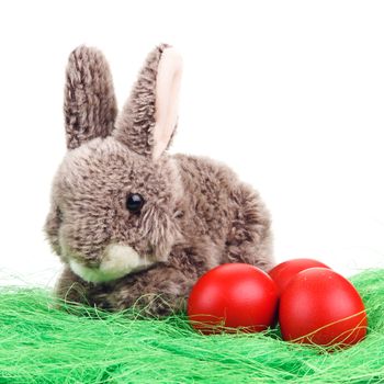 Easter Bunny with red easter eggs isolated