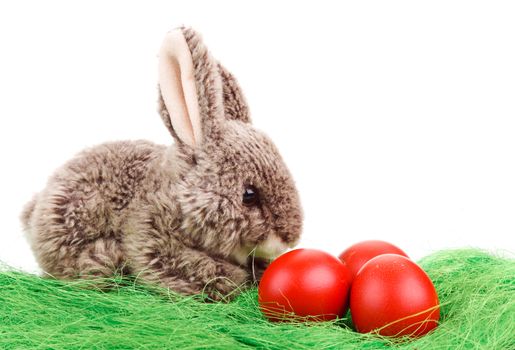 Easter Bunny with red easter eggs isolated