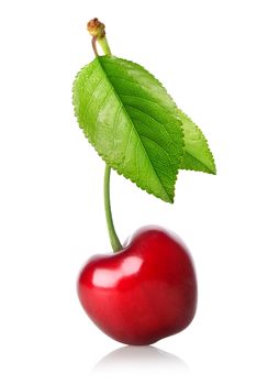 Cherry with leaf isolated on a white background
