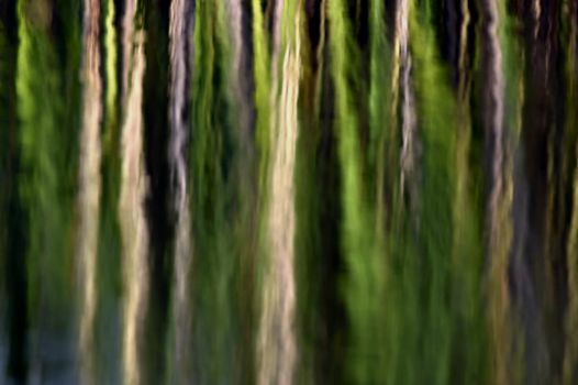 Green plant reflection in the water background. Abstract green Natural background.
